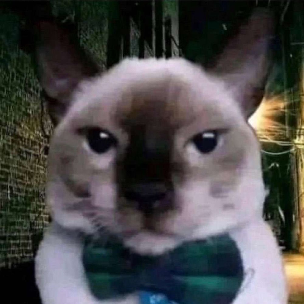 Big Smelvin