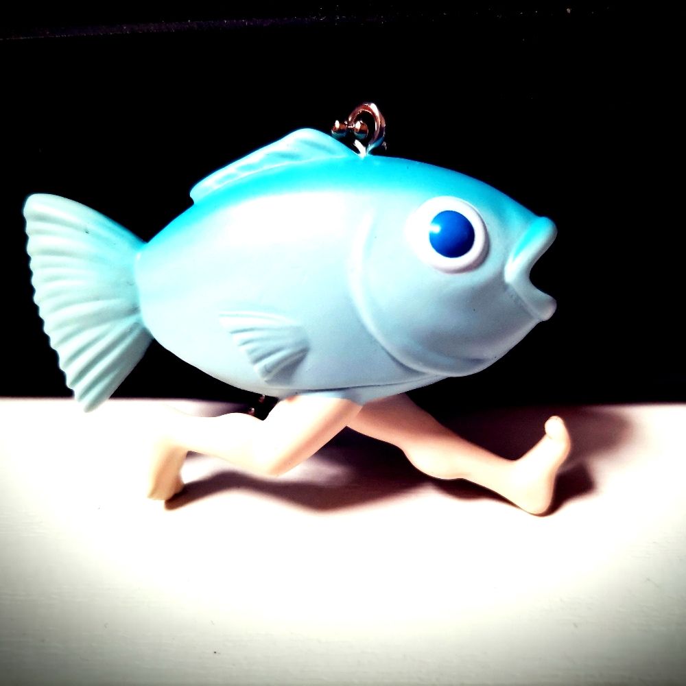 浅海