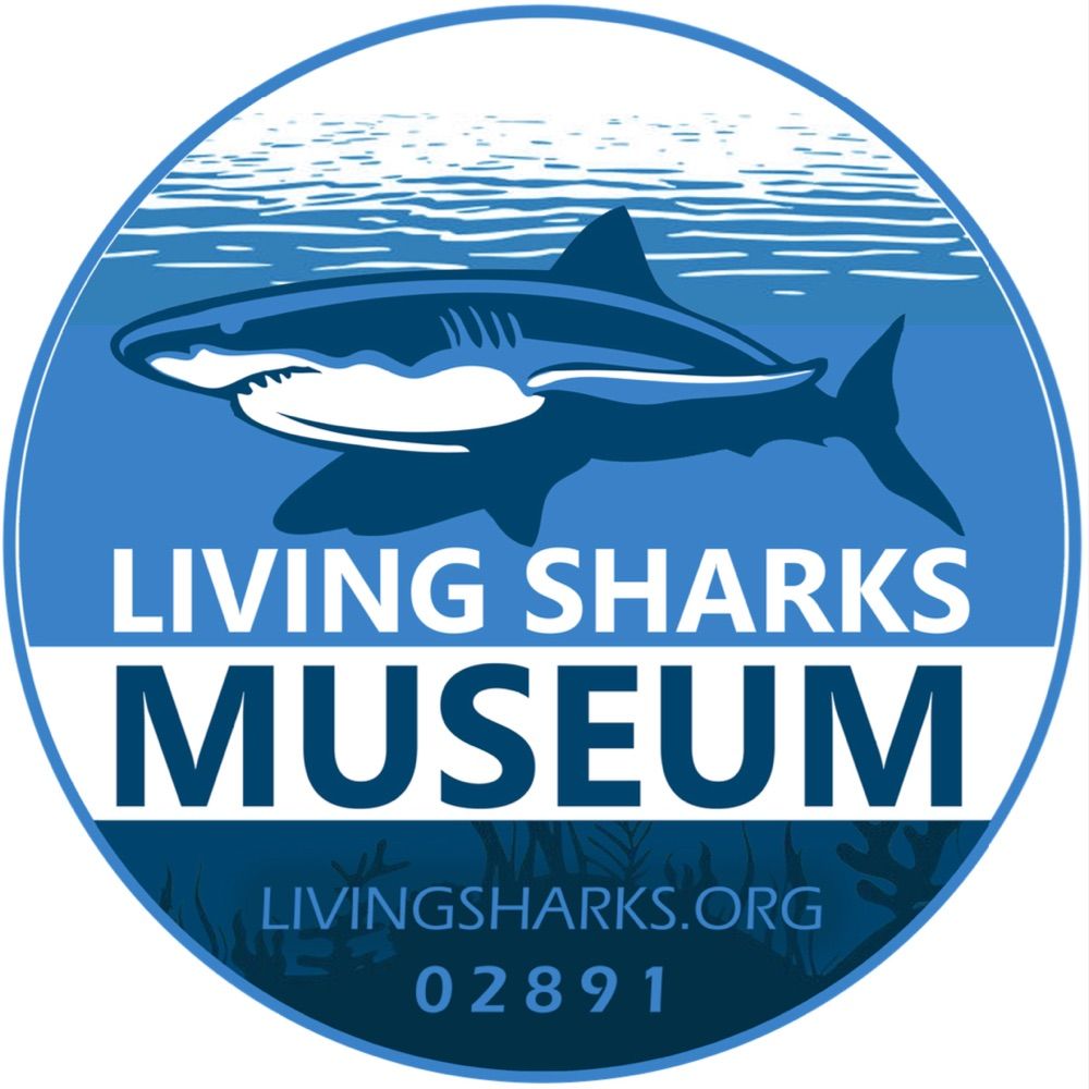 Living Sharks Museum