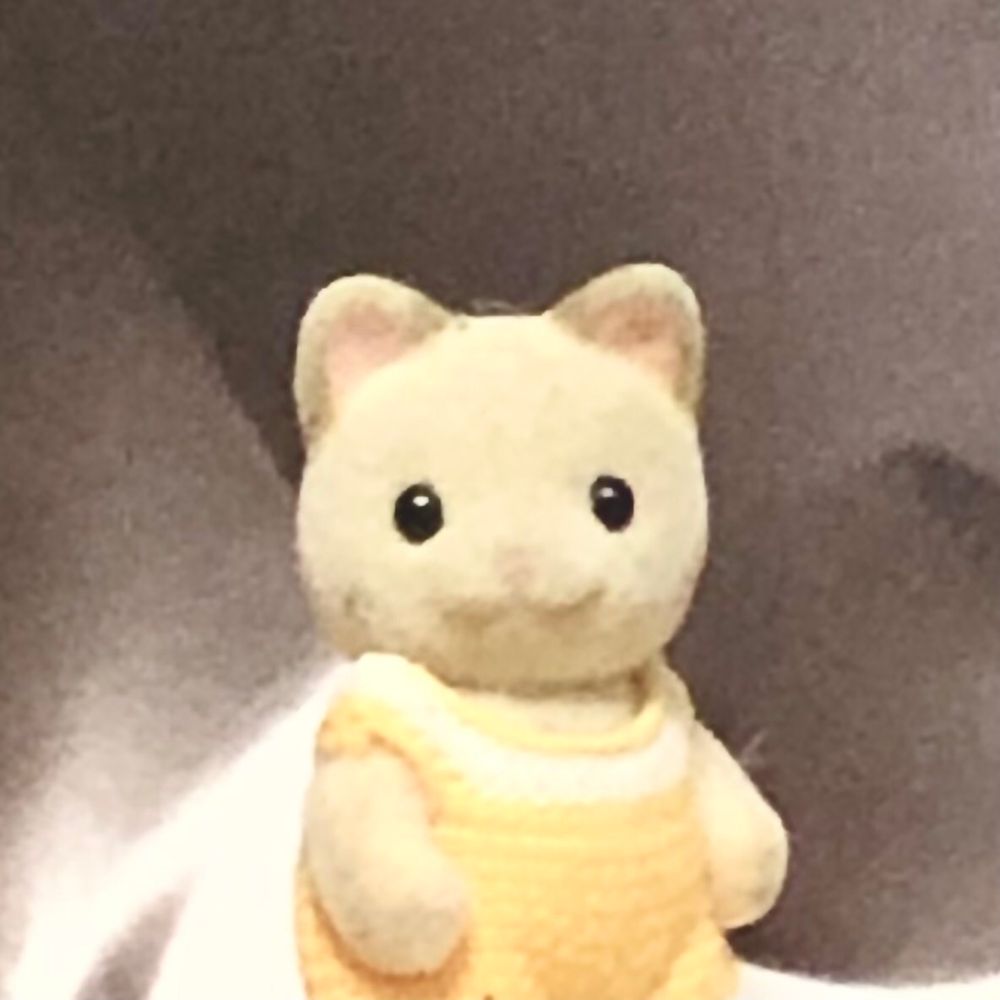 食パム