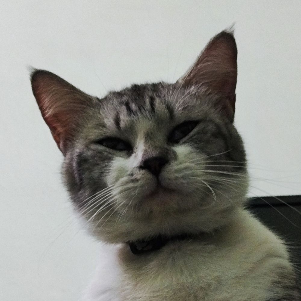 Raizenyao