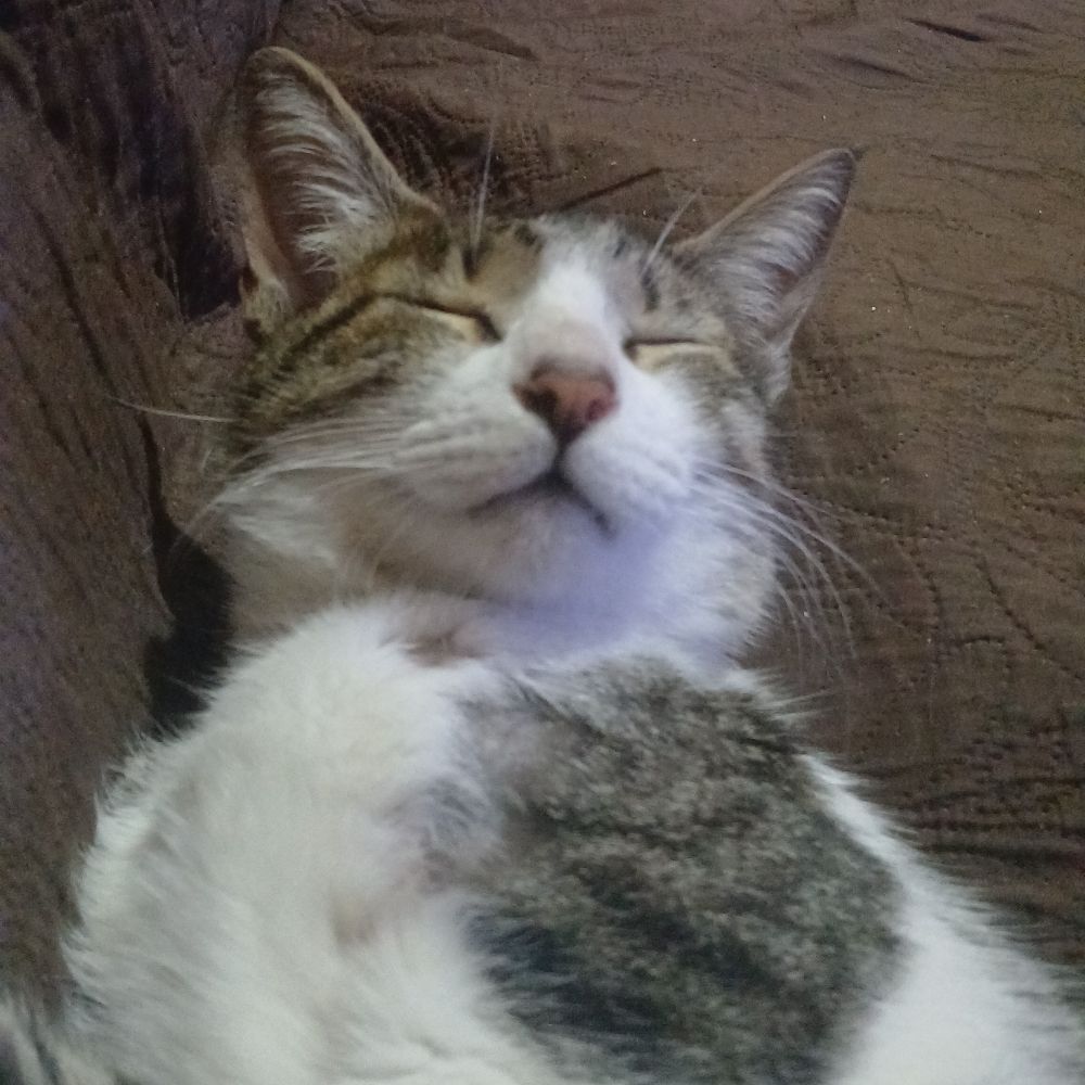 Milla