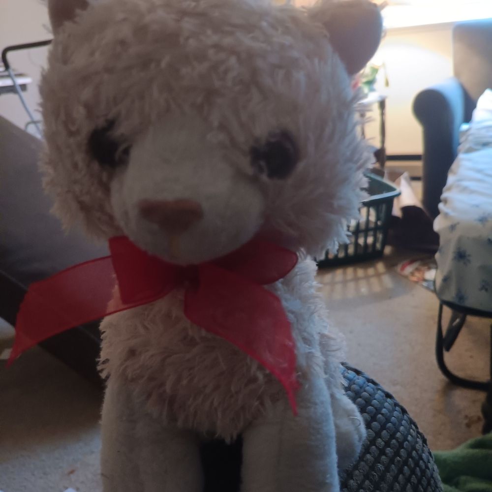 Life of Plushies 