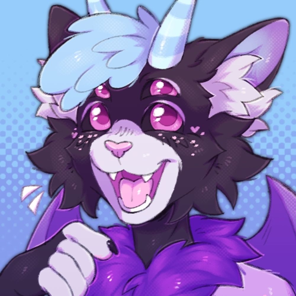 kittybat.bsky.social profile picture
