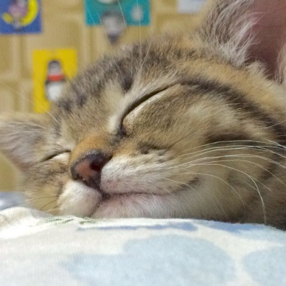 どっち