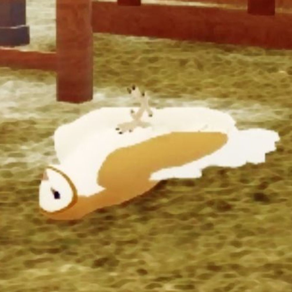 mrkoi