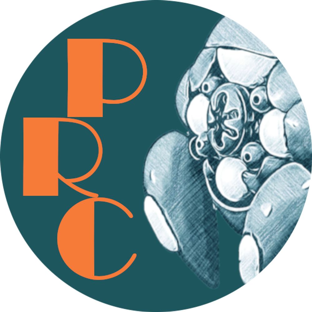 Peculiar Robot Contest