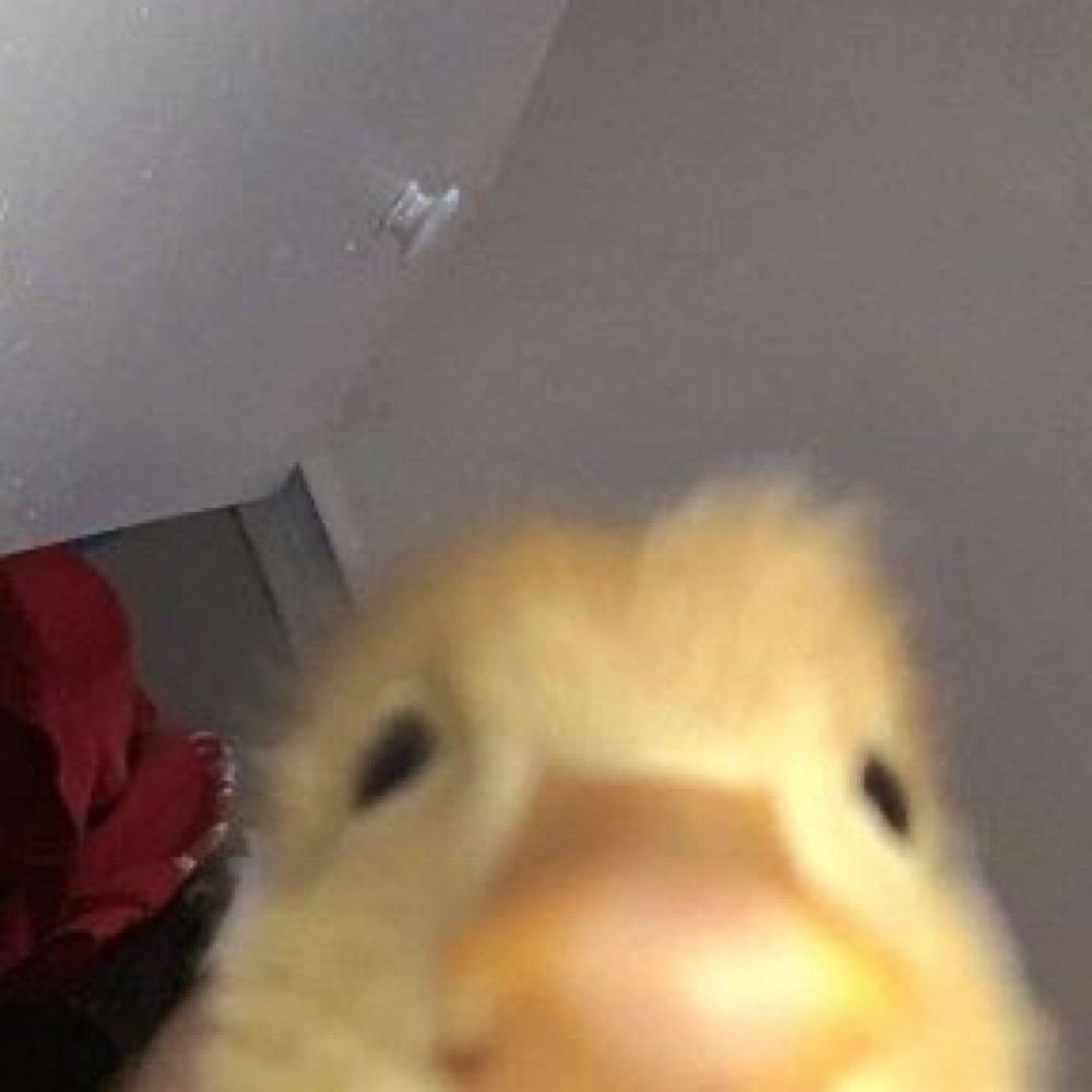 louuuu