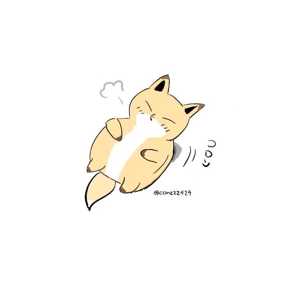 こんzzz