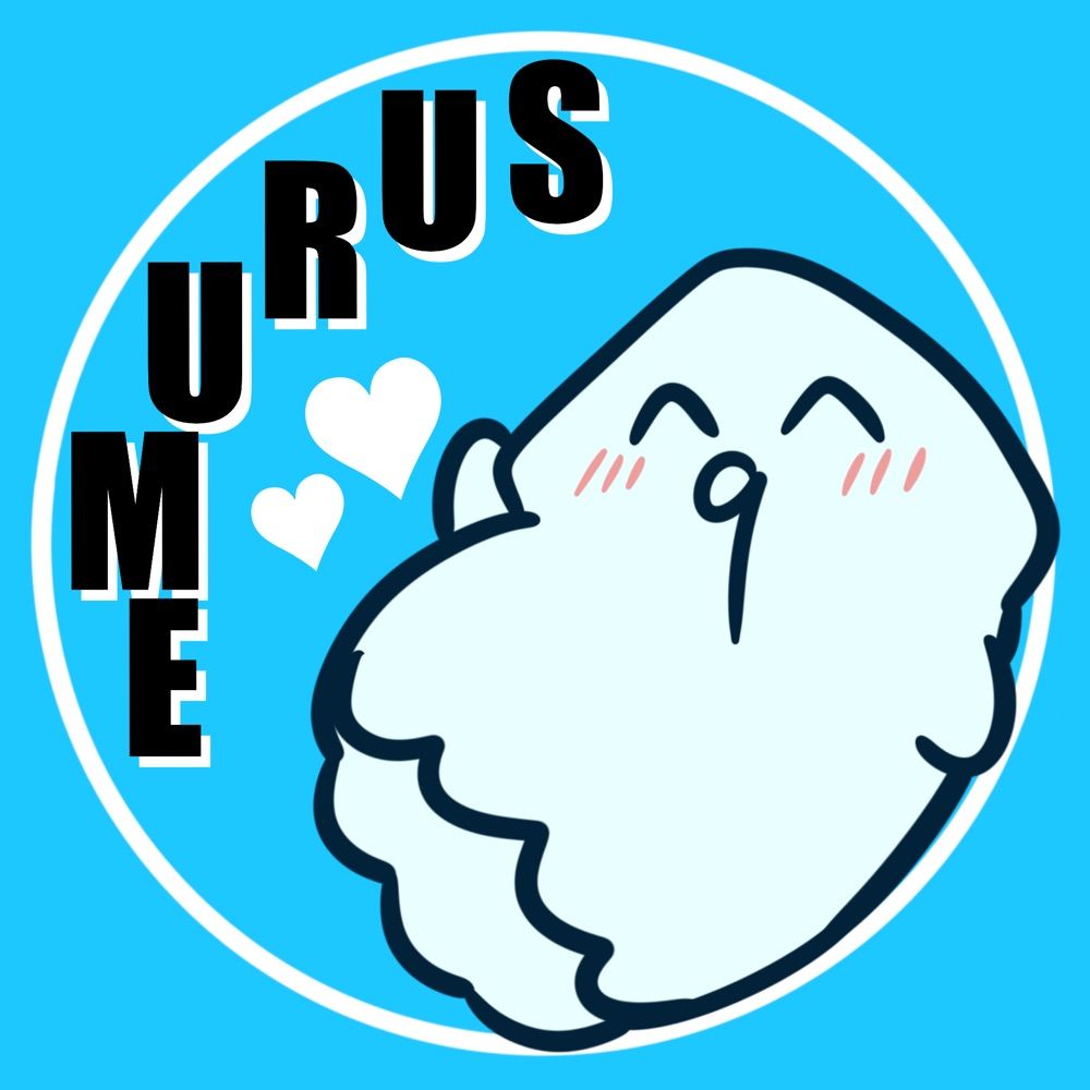 スルメイカ