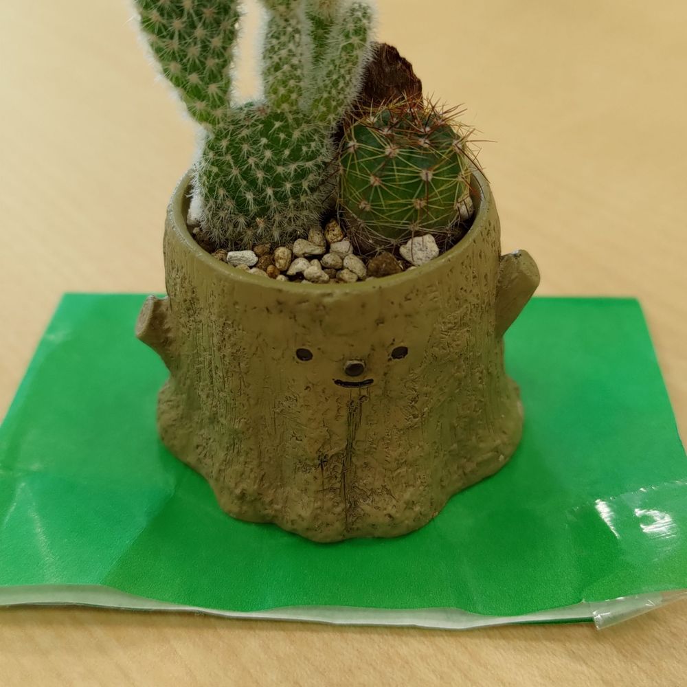 モチさん