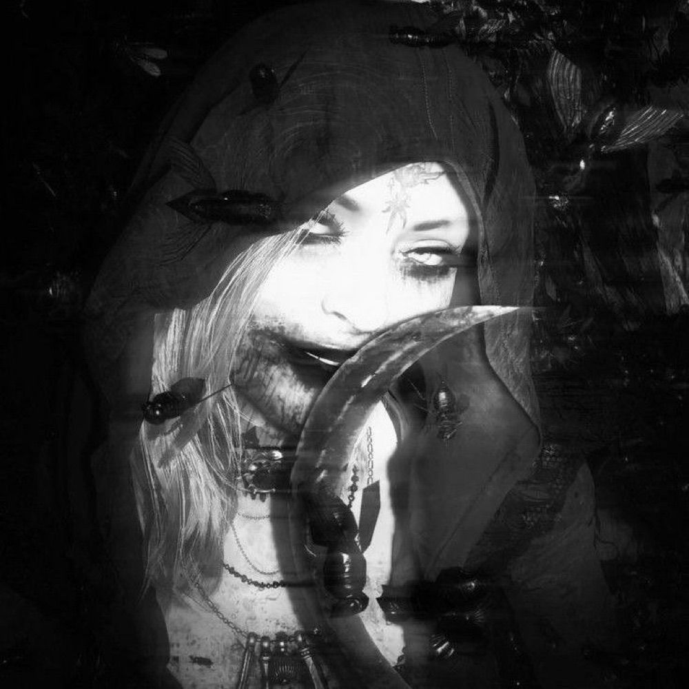𝕛𝕠𝕣𝕕𝕪🕷️🕸️