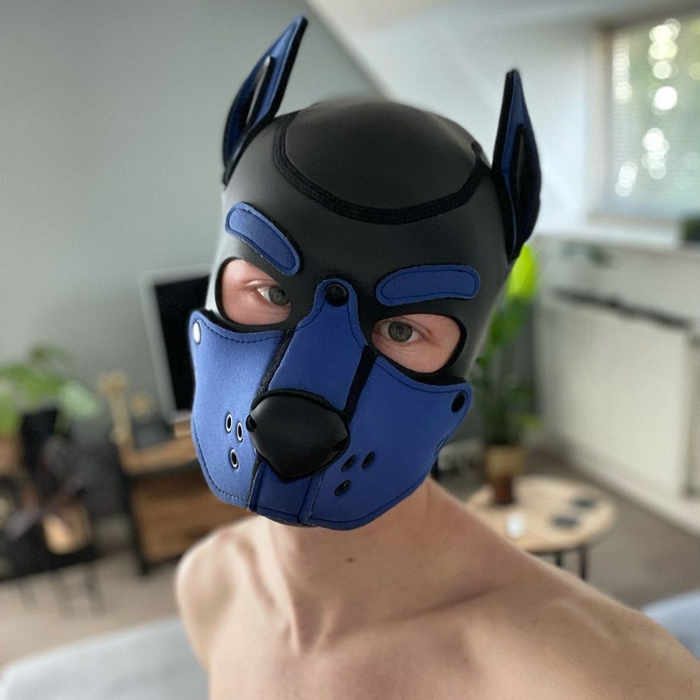 Pup Ryder