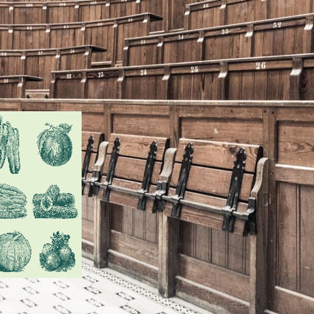 Nutrition & Metabolism Associated Diseases @KU Leuven