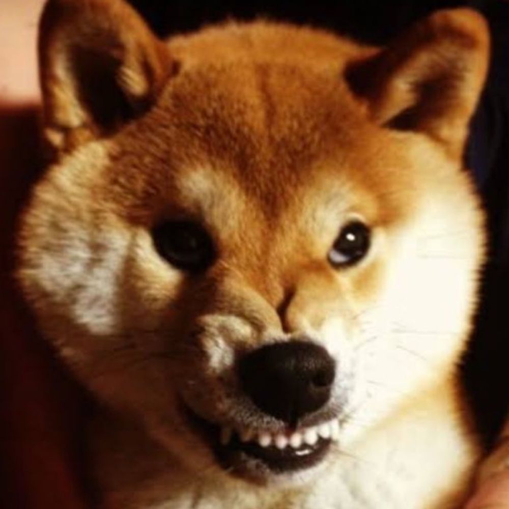 あさり