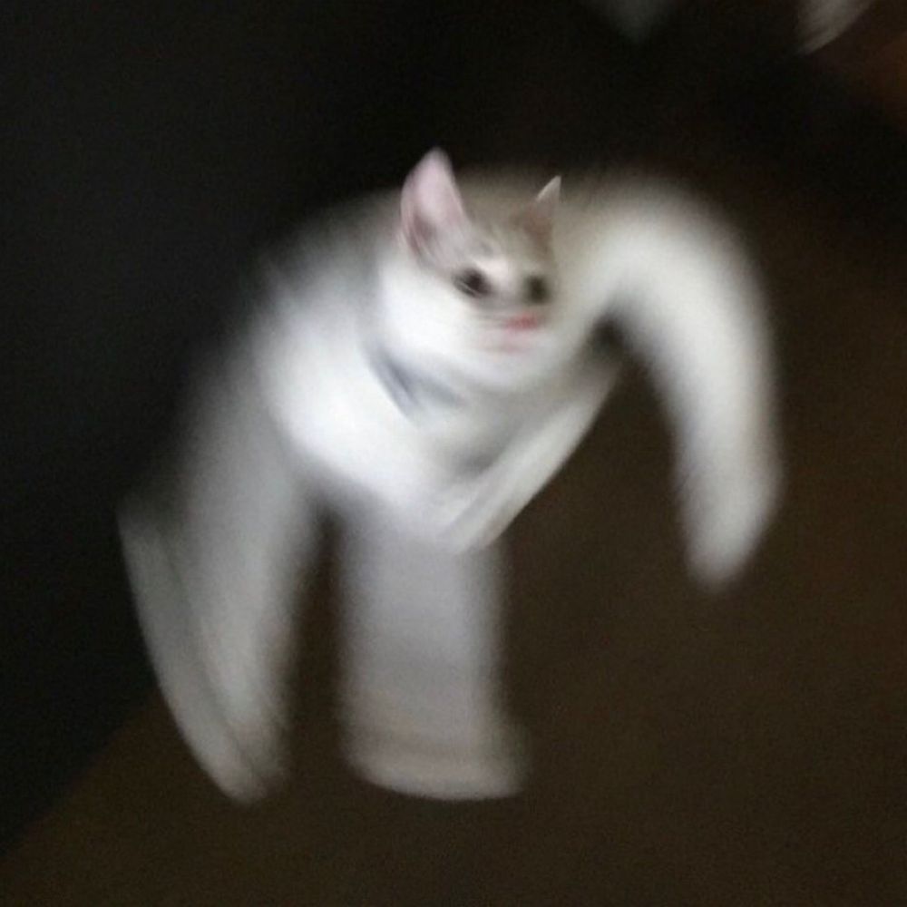 猫背
