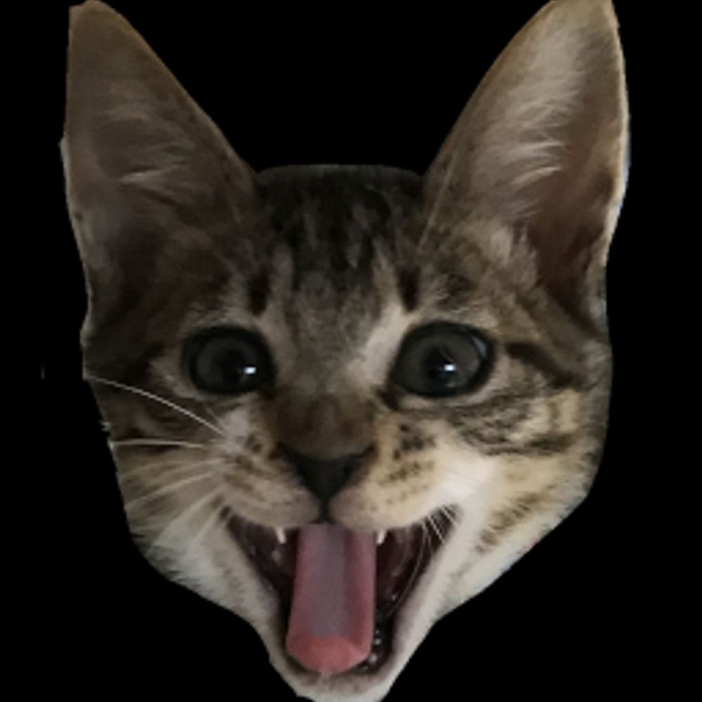 savogy