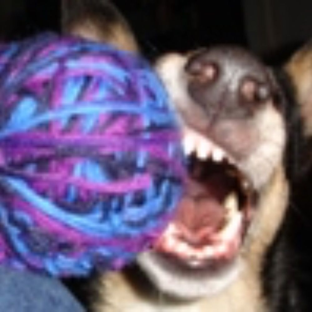knitterotica