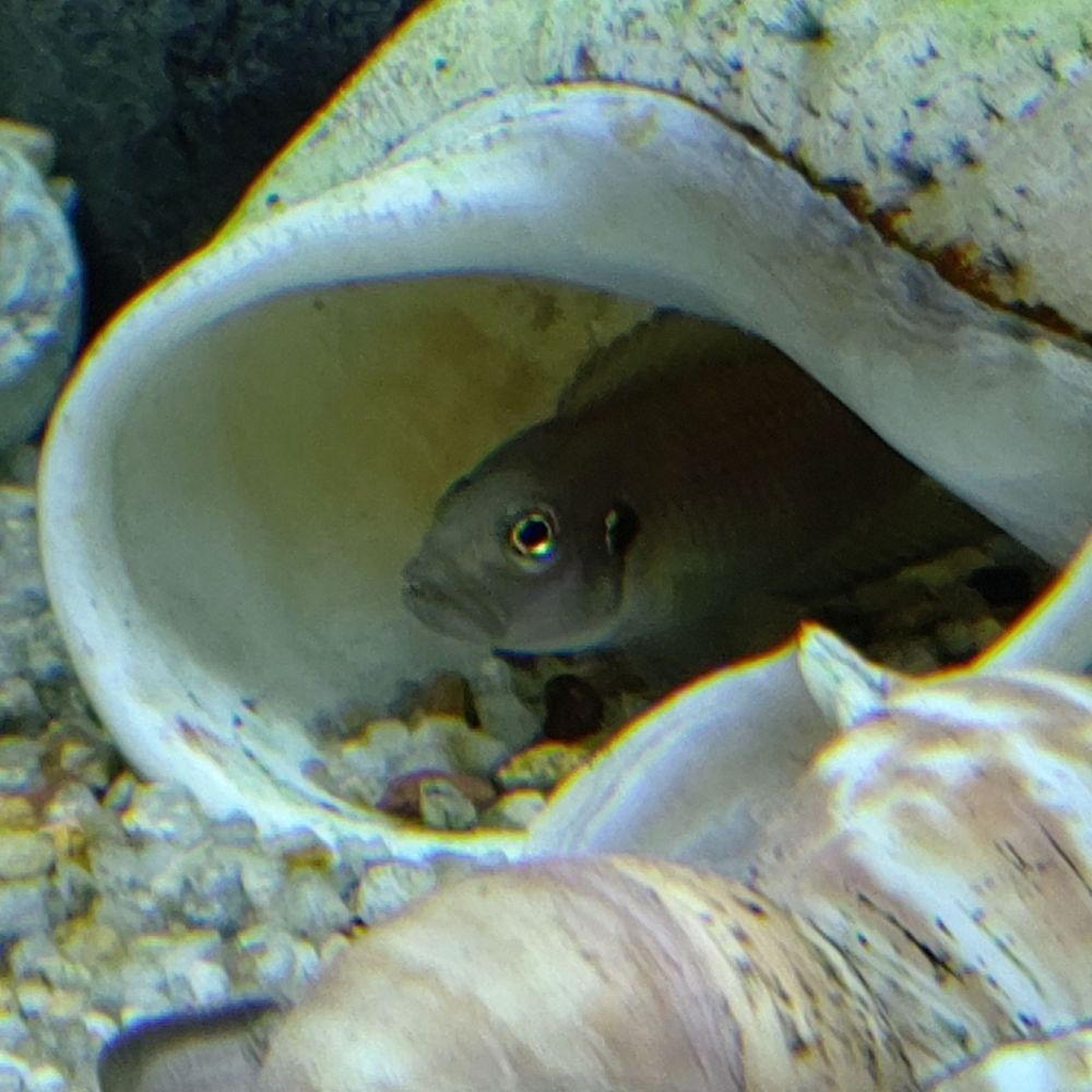 只野酒飲