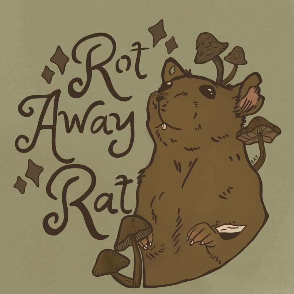 Rat