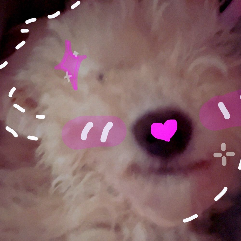 em ⋆˙⟡♡