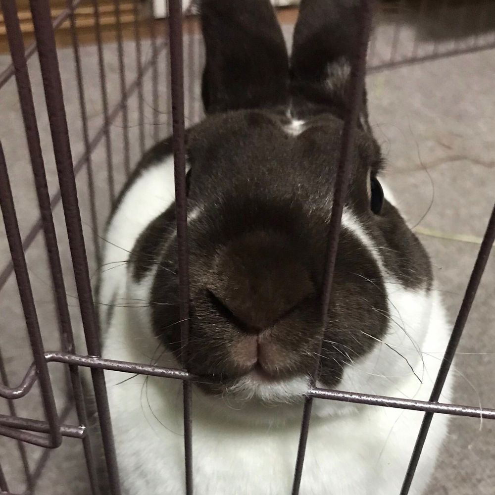 もっ