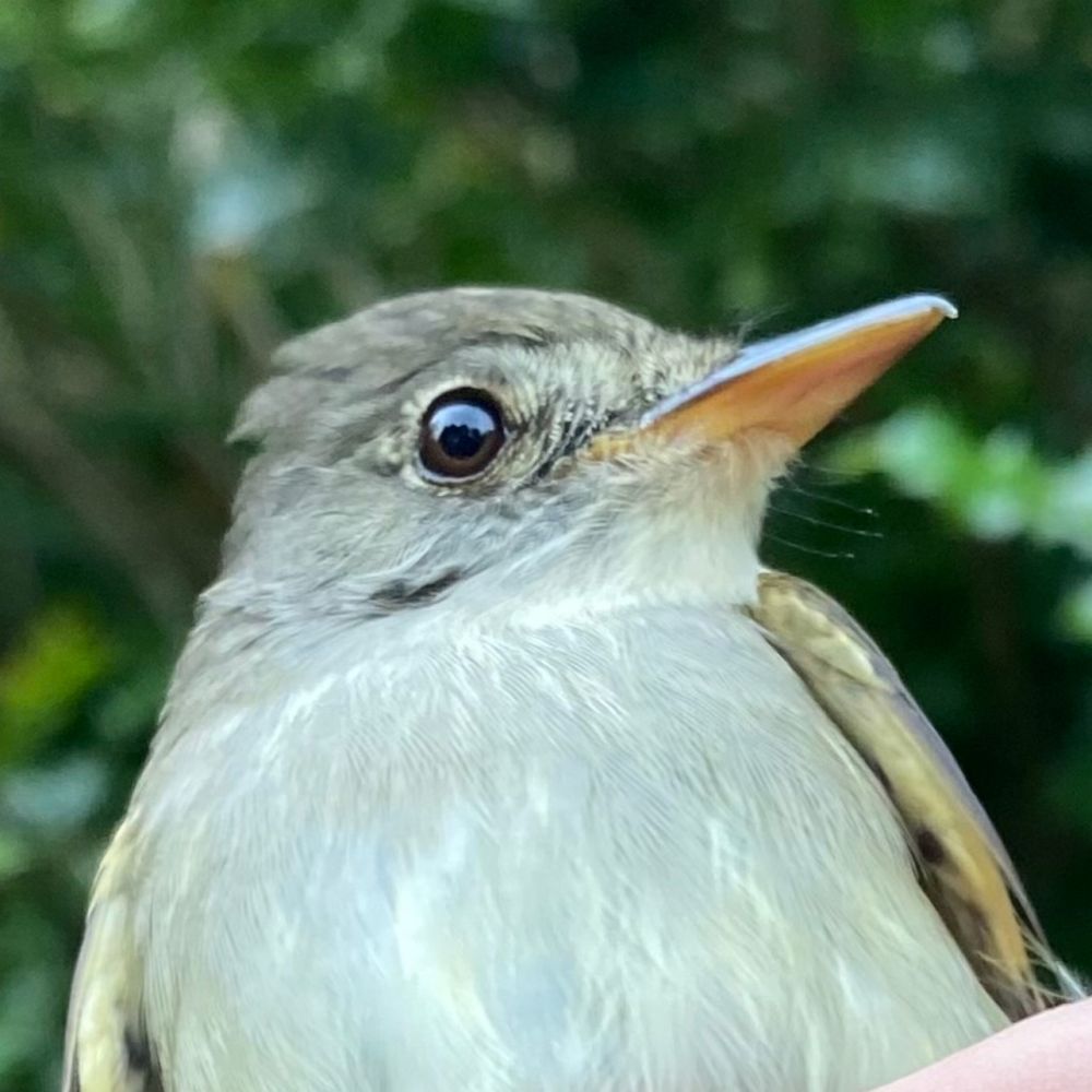 𝓰𝓸𝓸𝓼𝓮