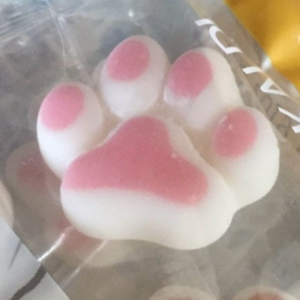 まえあし