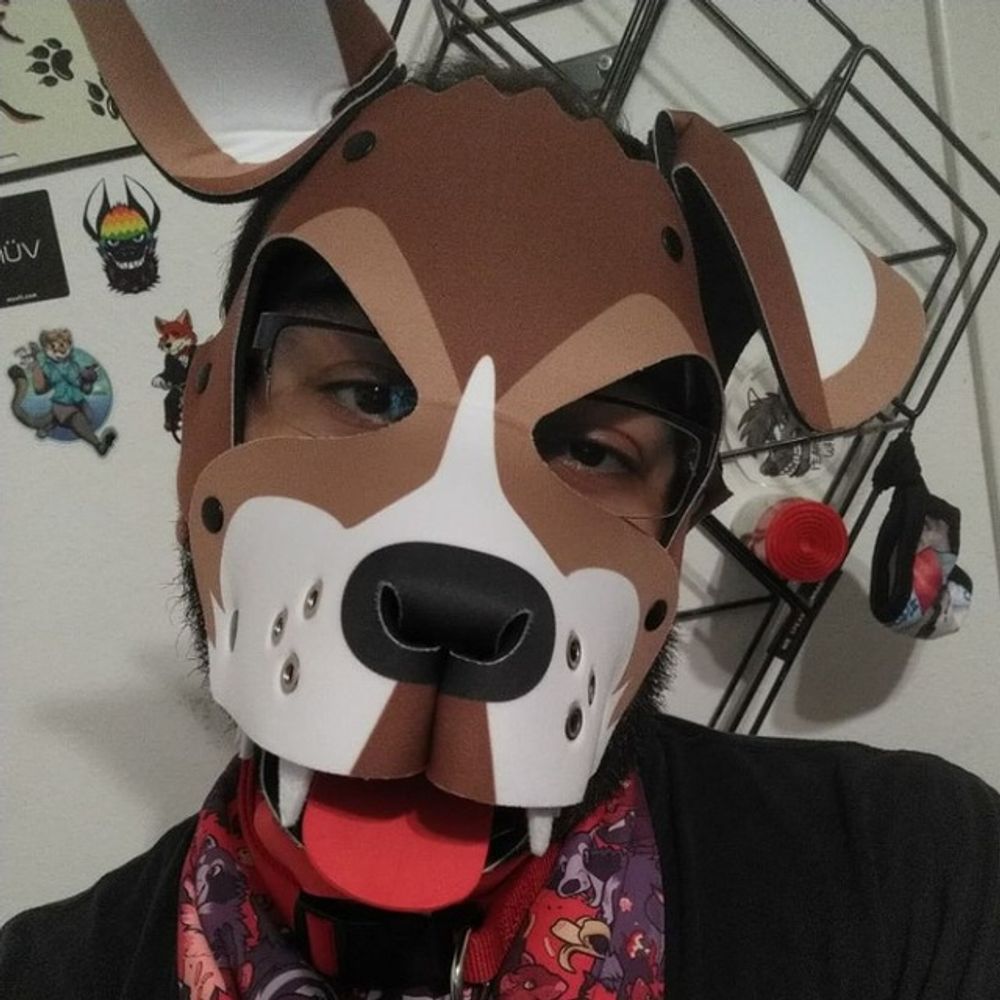 Pup Tony