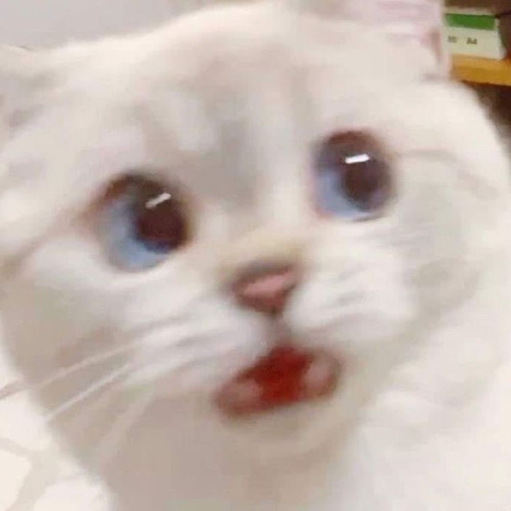 Zₐᵧₙₑ'ₛ ₗₐᵦₒᵣₐₜₒᵣᵧ 𝒸ₐ𝒹ₐᵥₑᵣ 