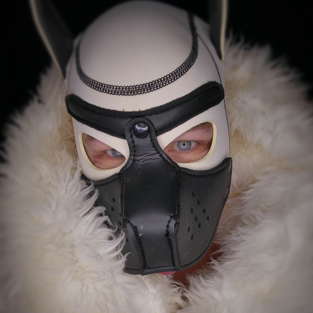 Pup Elliott 🏳️‍🌈🔞