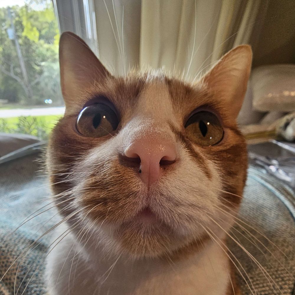 charlie