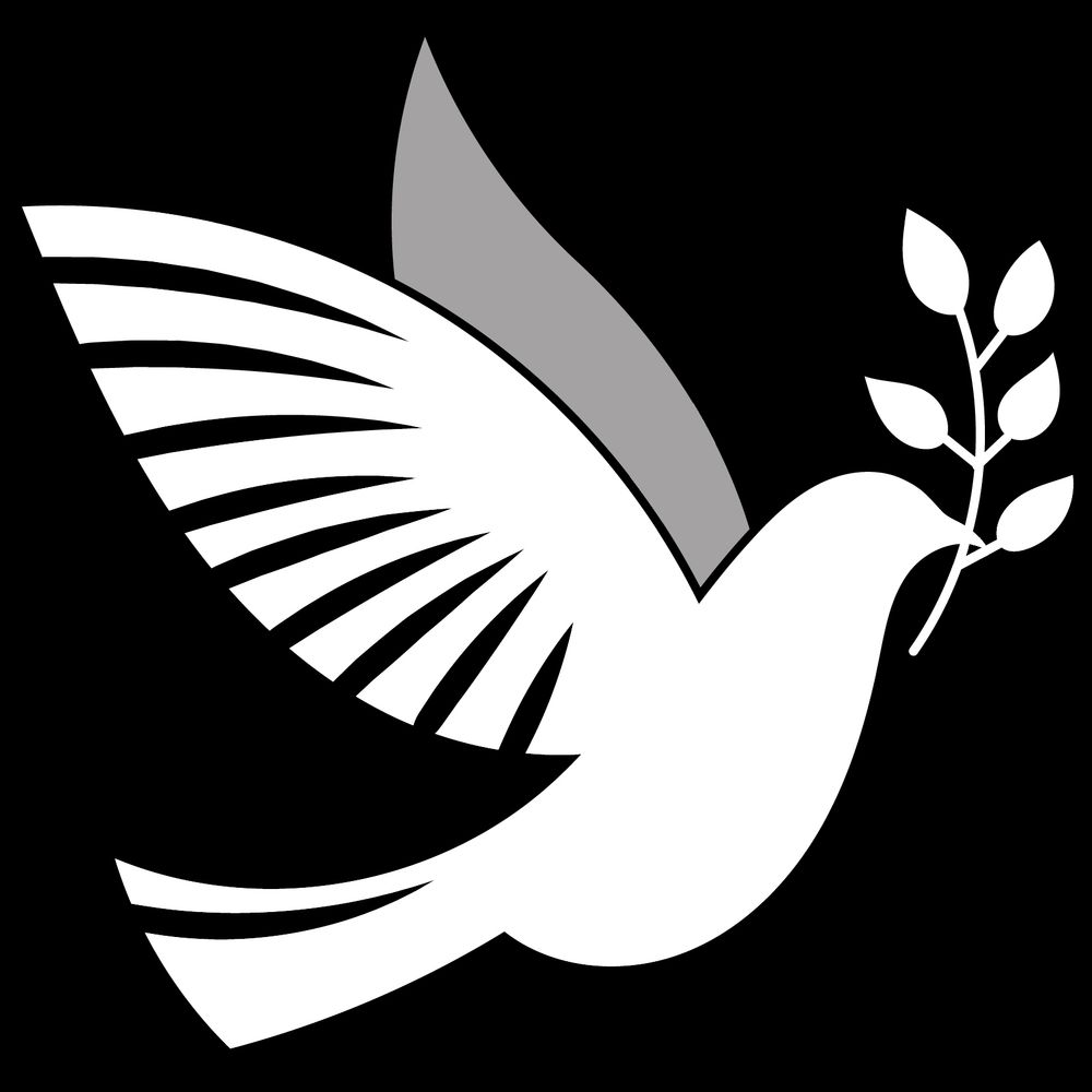 Tennessee Innocence Project (www.tninnocence.org)