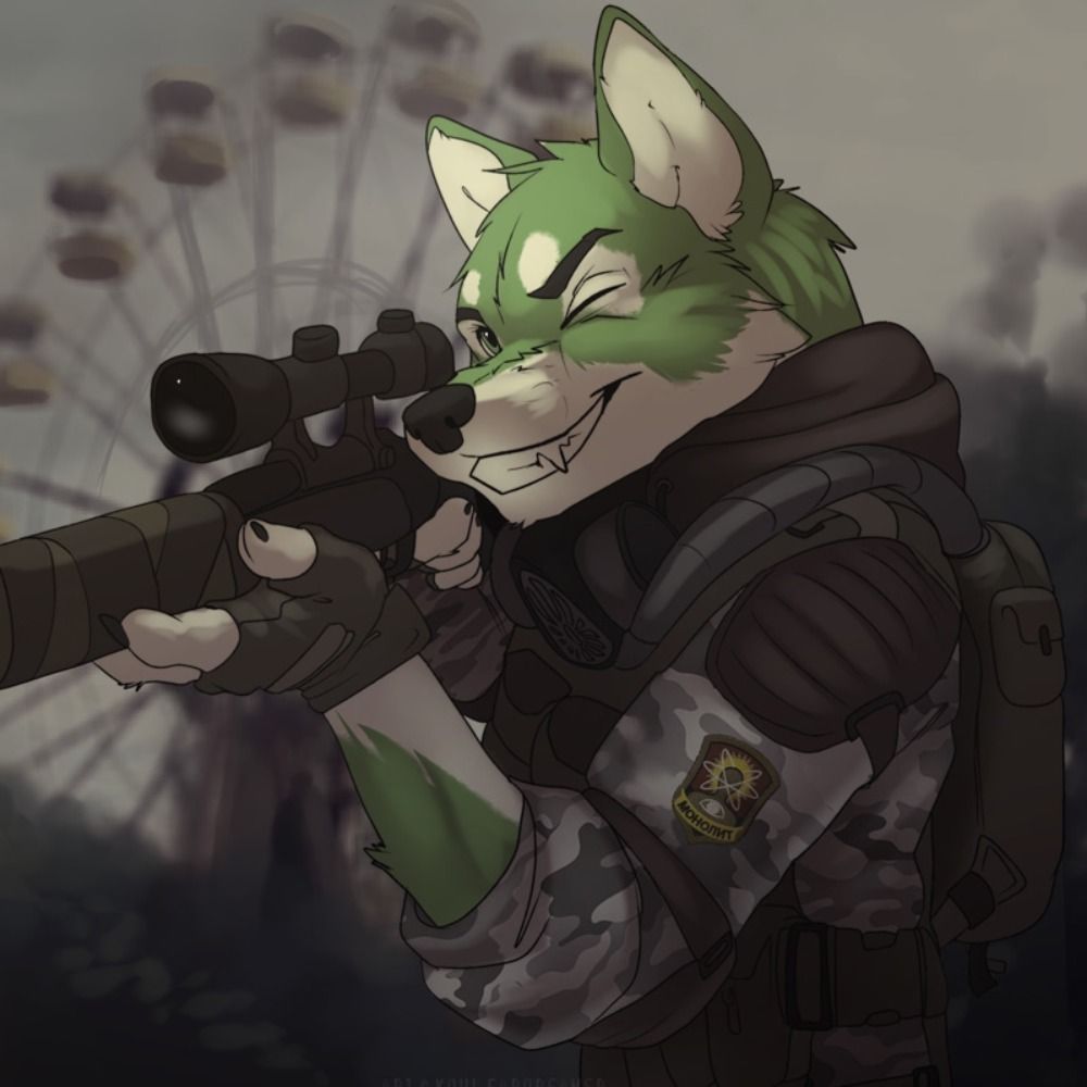 Roco_The_Husky