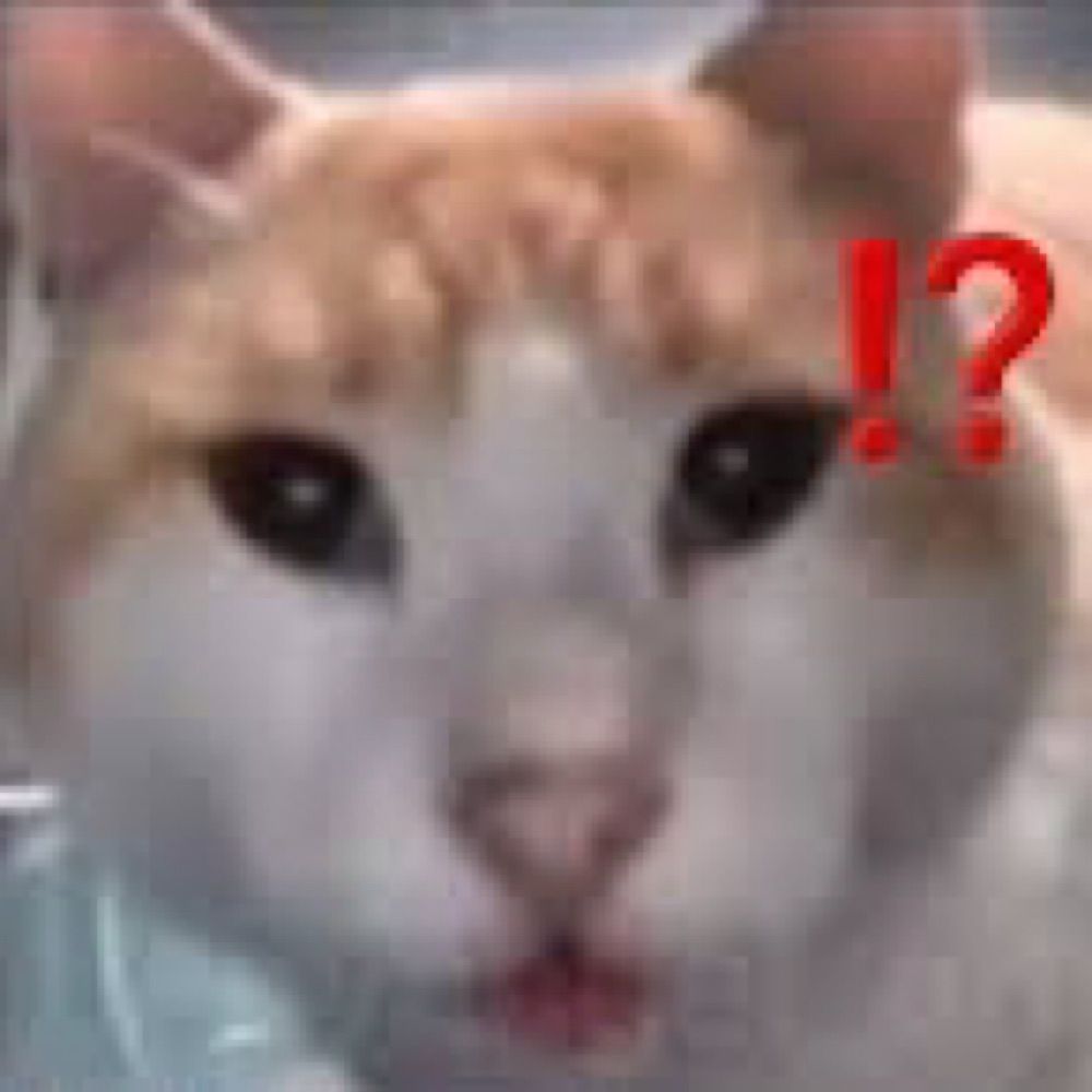 묵은지