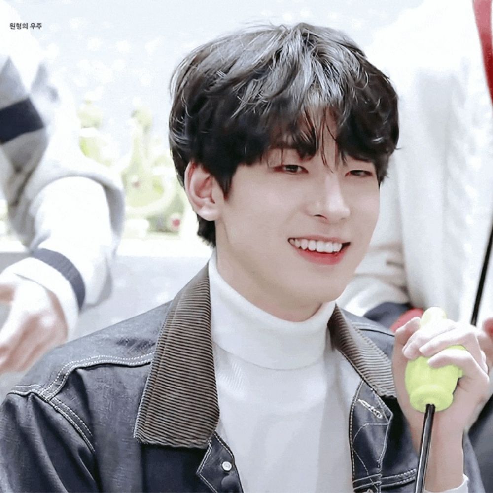 꿍이 