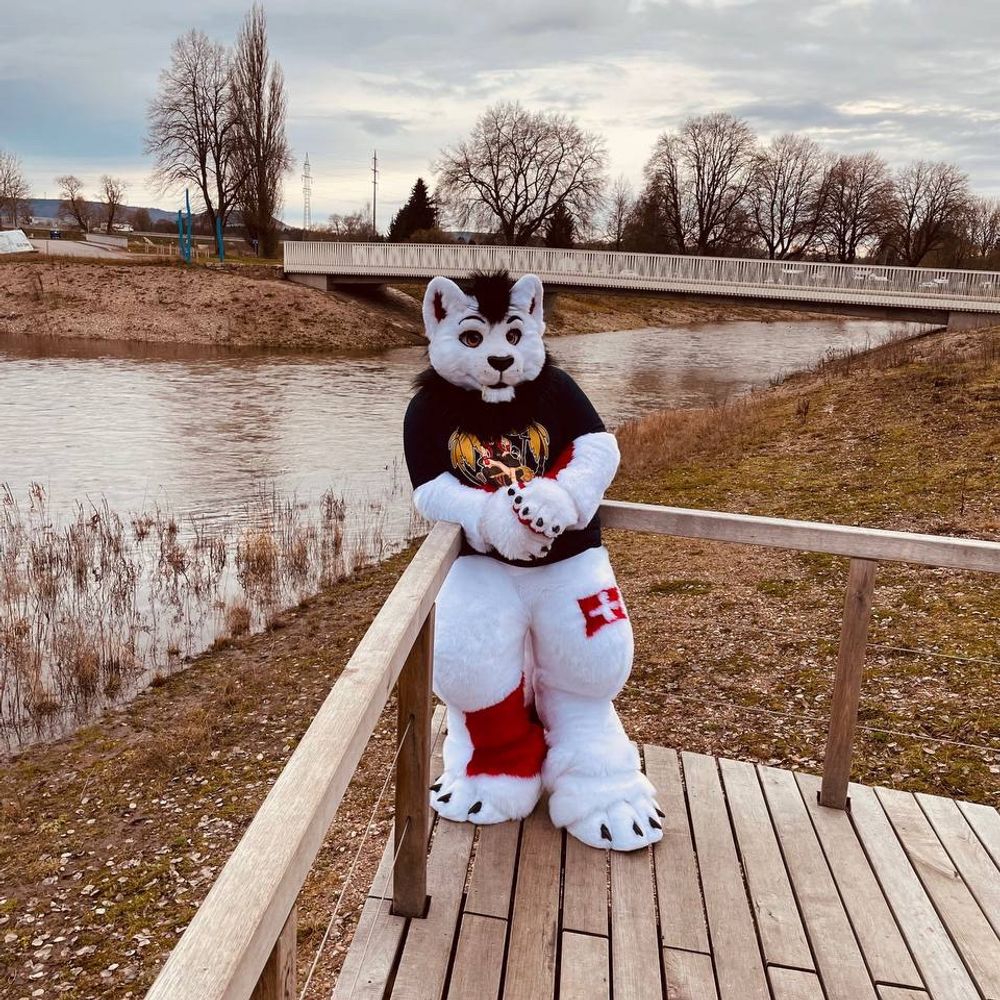 Sparky/Swiss 