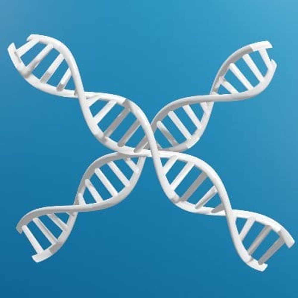 Glasgow Computational Biology Community