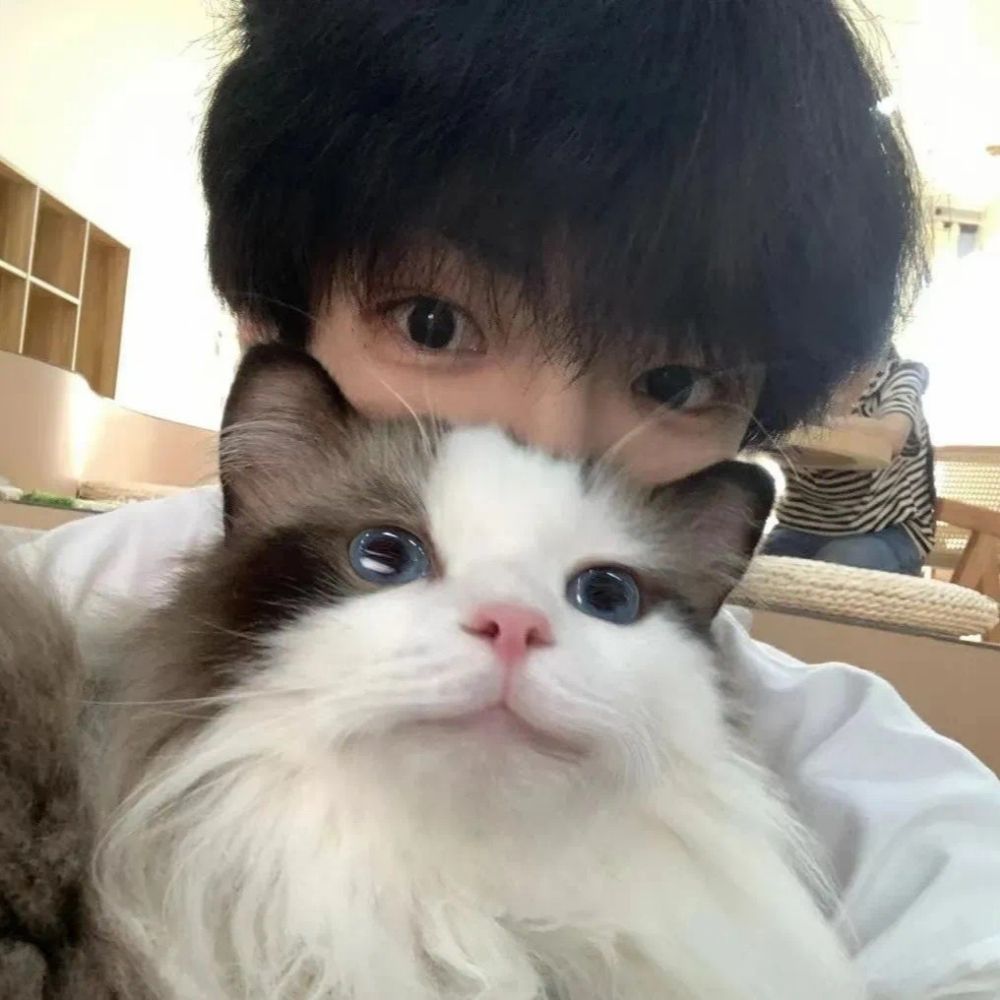 过程