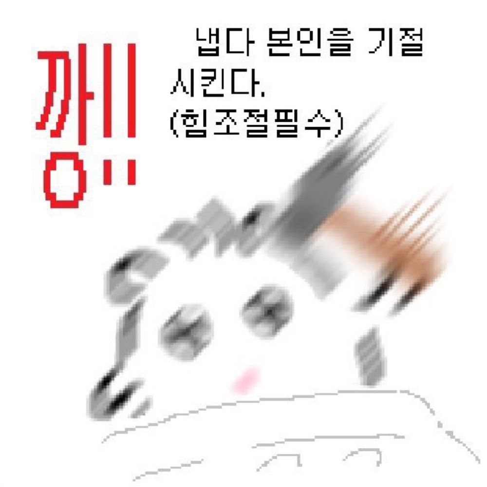 먀미