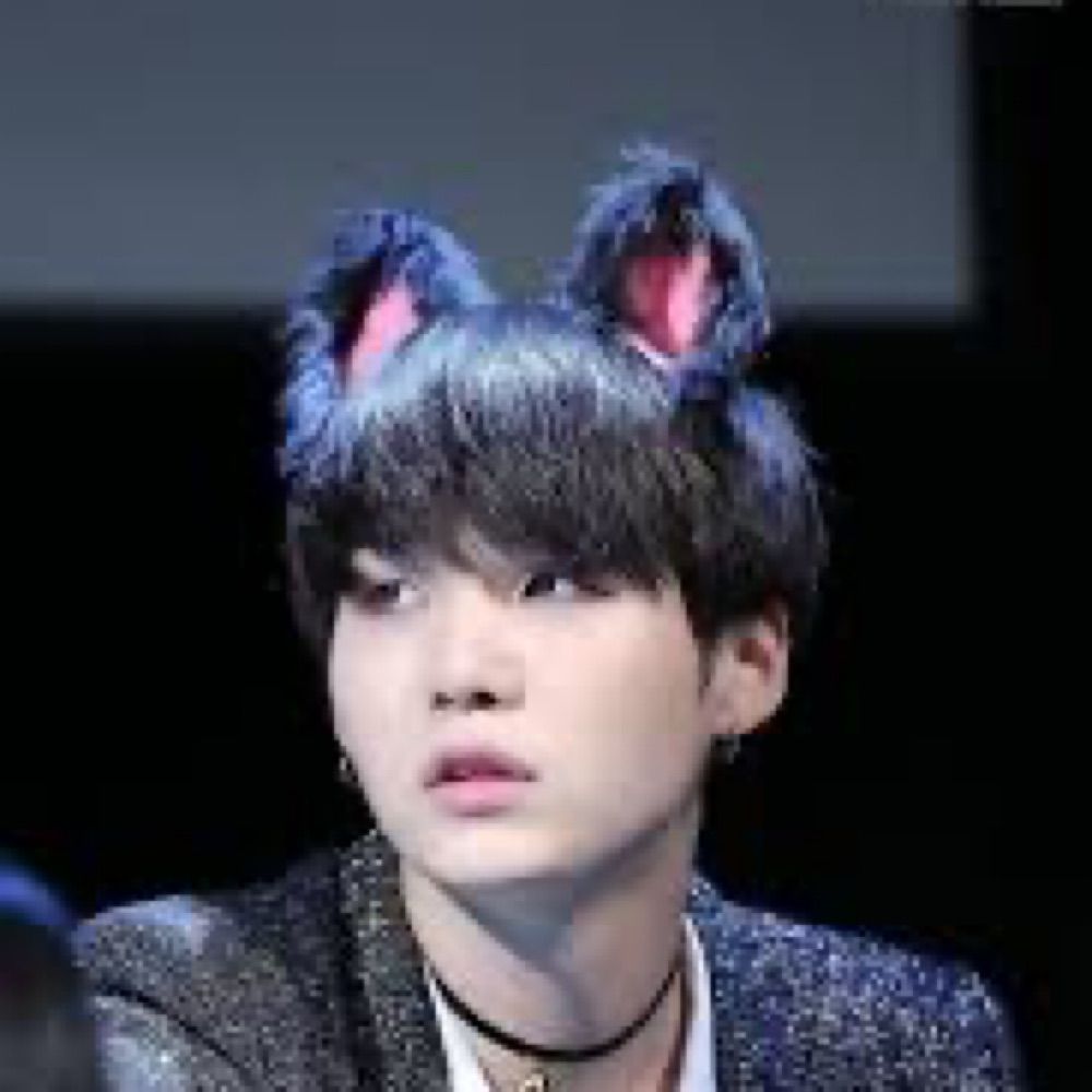 MeowMeow ⁷ 💜⟬⟭⟭⟬💜