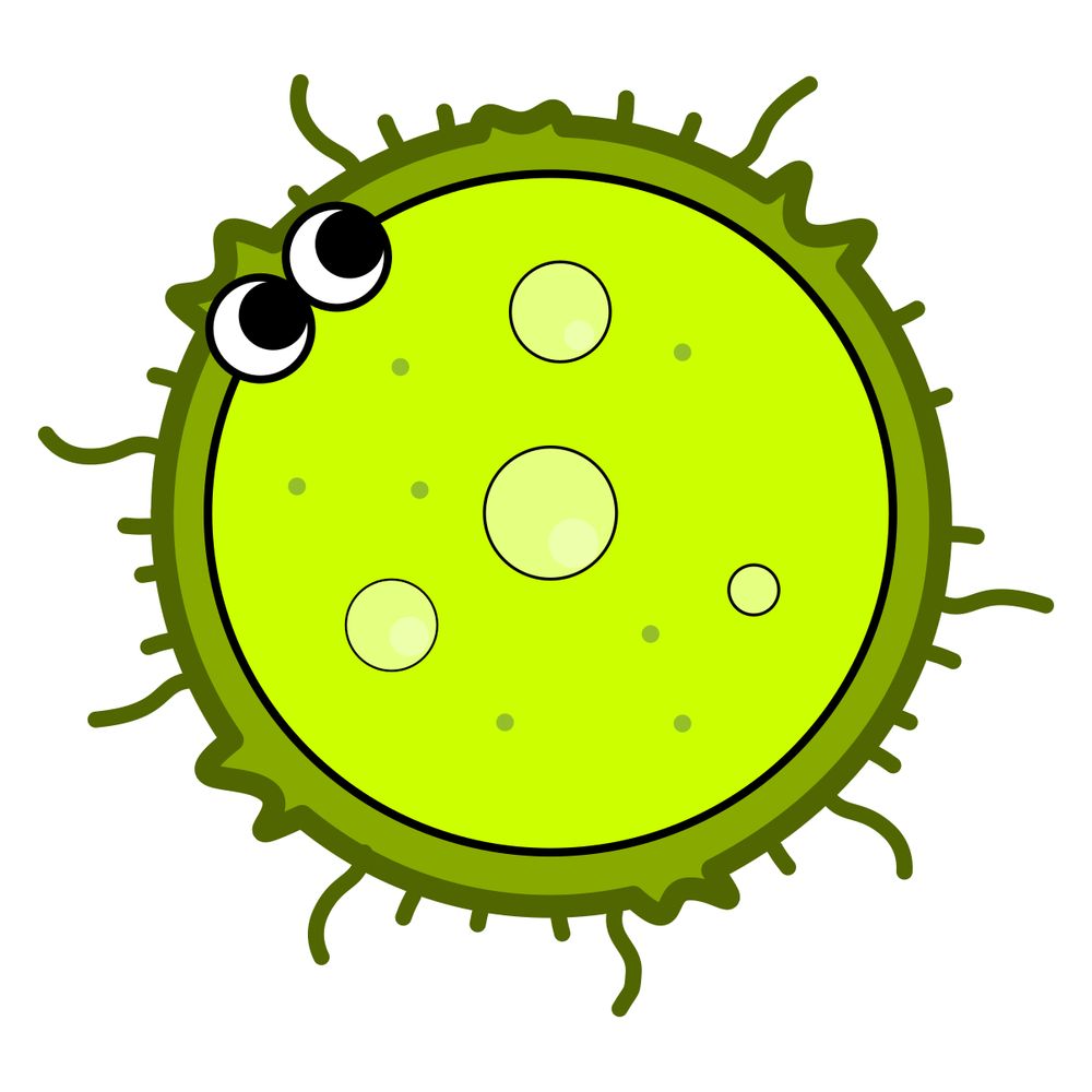 Fat Plankton