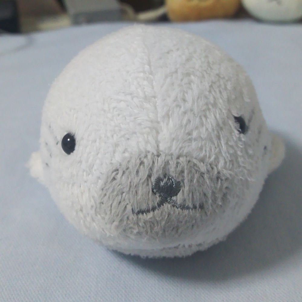 ぴみすけ