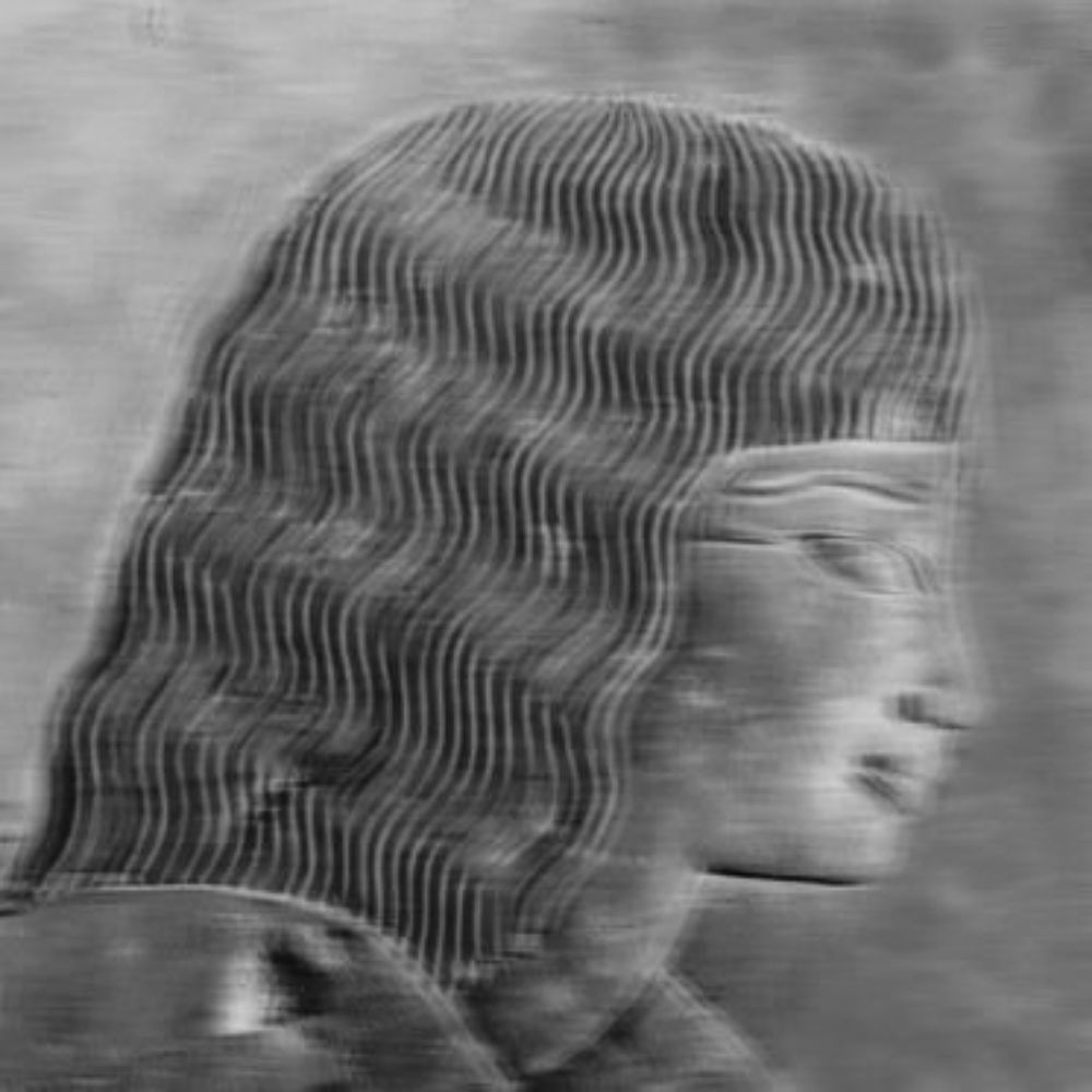 𓆸 Hottentot Venus