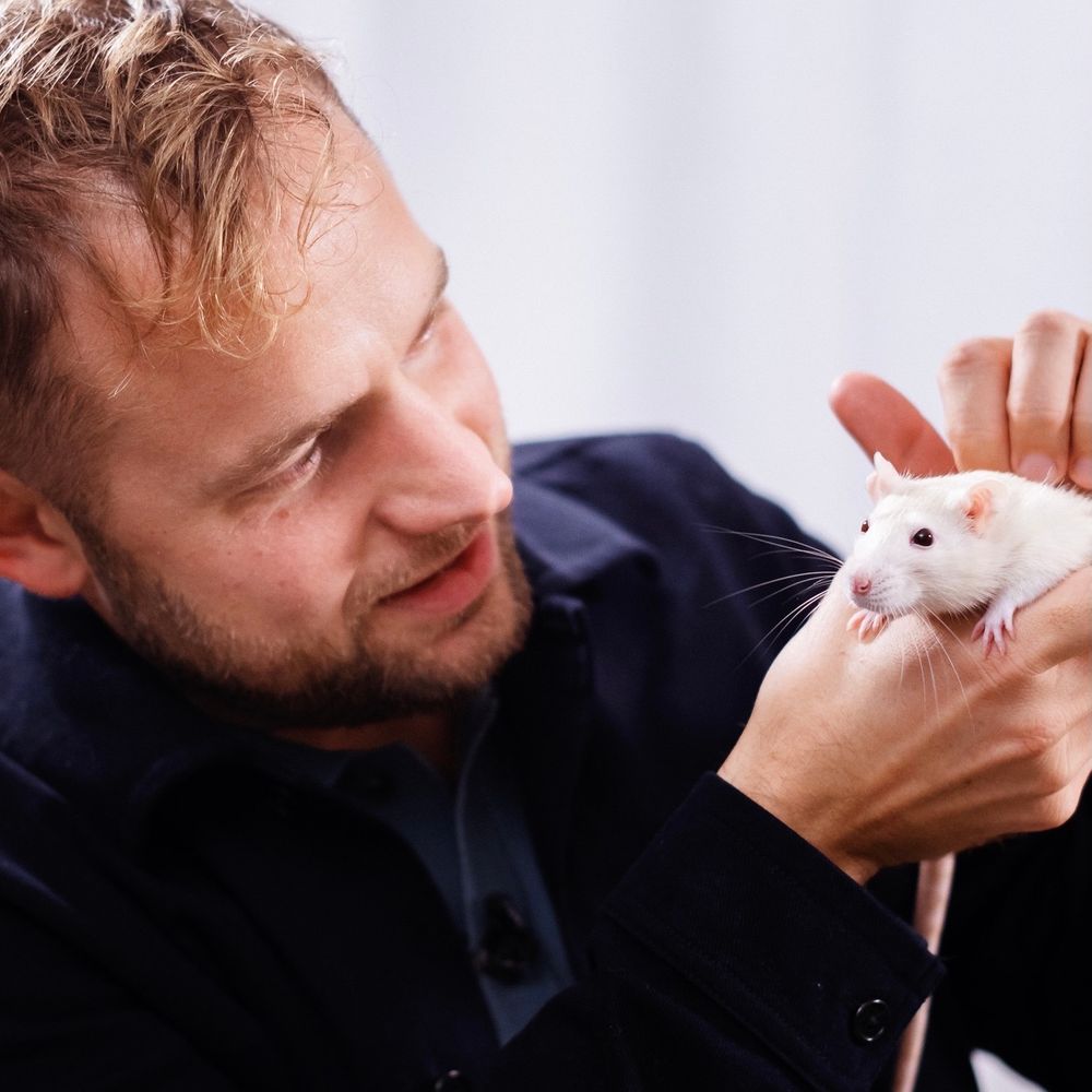 Lars Klintwall