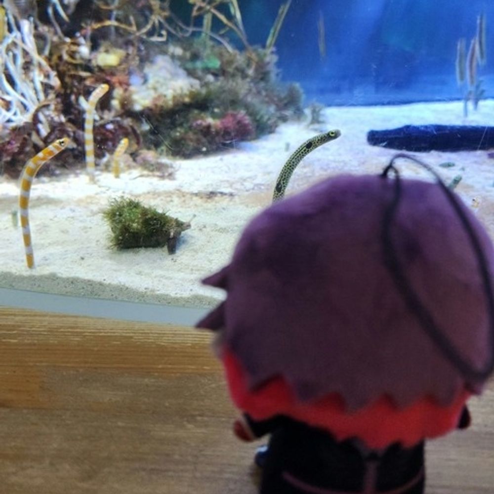 るなさん( ω)