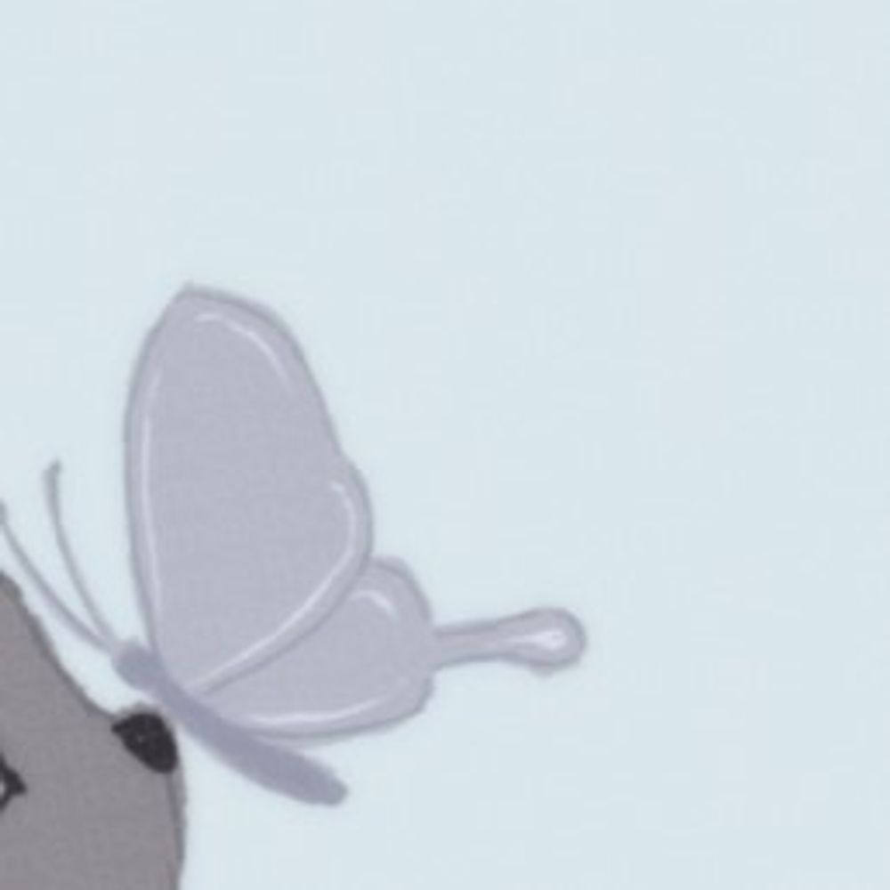 ぽむこ