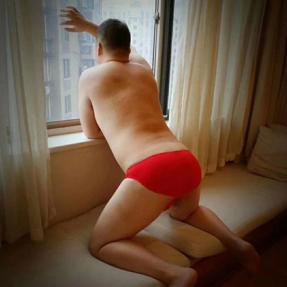 尔东D.Don