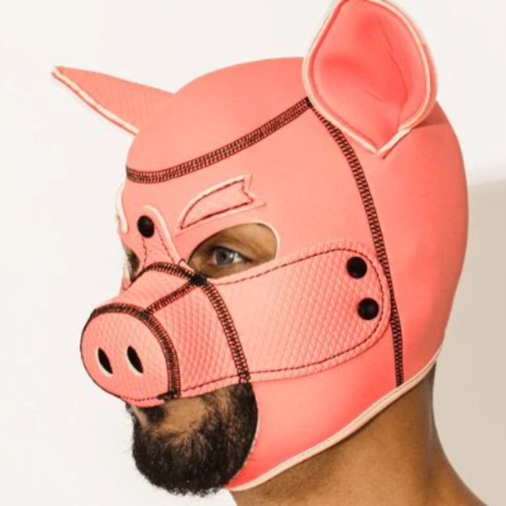 gay pig fantasy 🐷