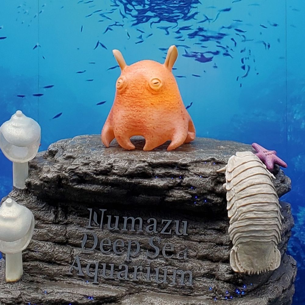 水面叩